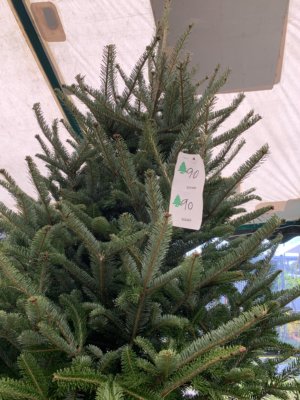 アメリカのクリスマス 本物のモミの木 クリスマスツリー購入からデコレーションまで 毎日がクリスマス
