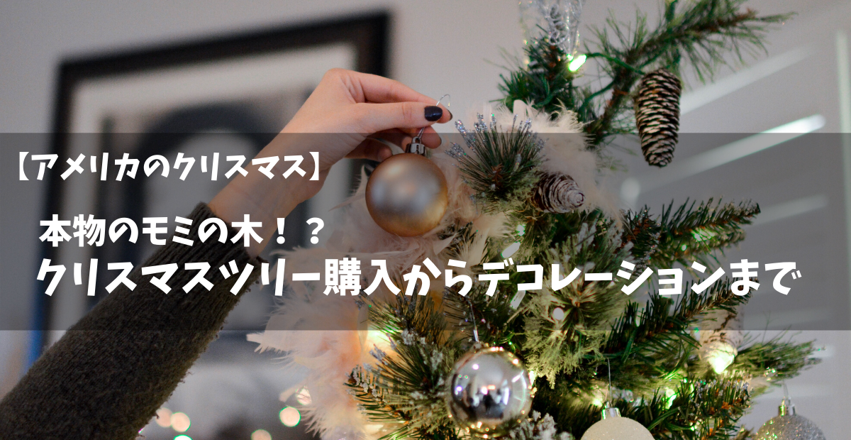 【アメリカのクリスマス】本物のモミの木！？クリスマスツリー購入からデコレーションまで | 毎日がクリスマス！